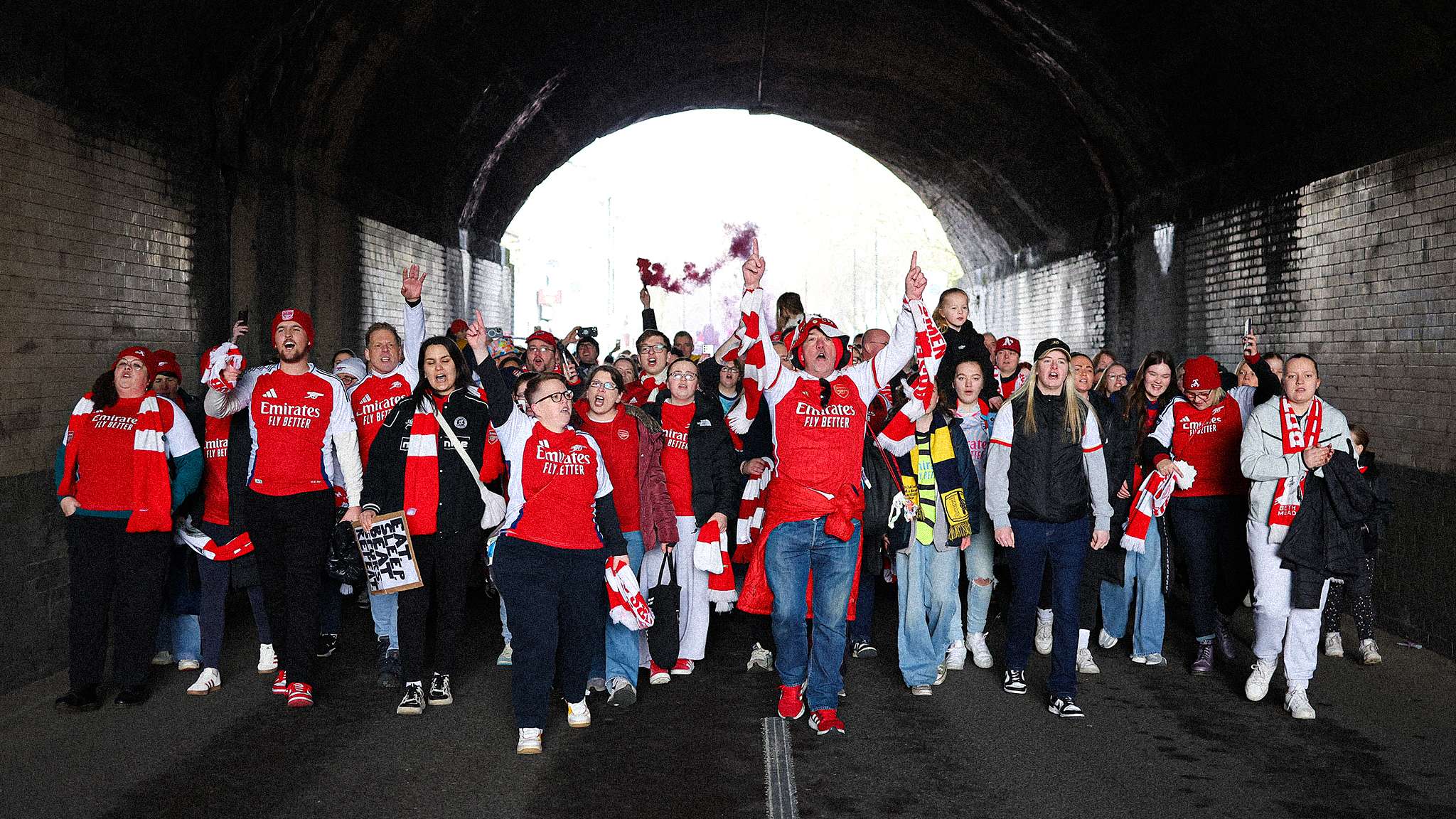 近年来致力 近年来致力