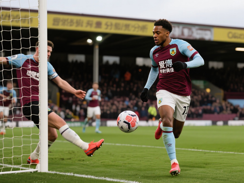 本文将带您 本文将带您